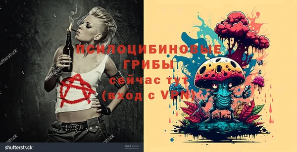 крисы Абинск