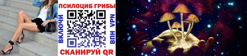 Галлюциногенные грибы Cubensis  цена   Серафимович 